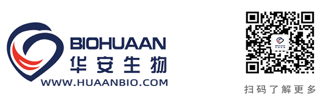 整体LOGO 适用于公众号.png